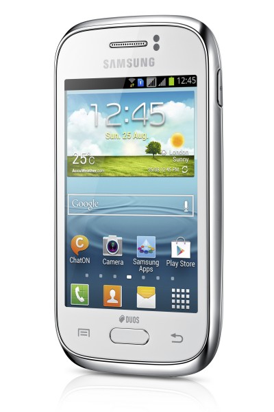 Samsung Galaxy Young GT-S6310N Test - 0