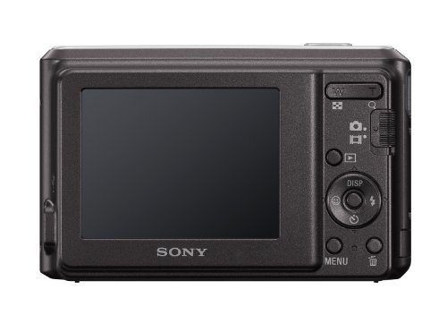 Sony Cyber-shot DSC-S2000 Test - 1