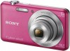 Sony Cyber-shot DSC-W710 - 