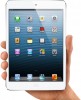 Bild Apple iPad mini