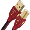 Audioquest Cinnamon USB - 