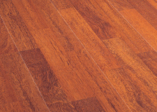 Test Berry Floor Hydro Plus