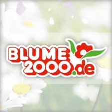 Test Blumenversand - Blume2000.de 