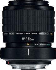 Test Makro-Objektive - Canon MP-E 2,8/65 mm 1-5x Macro Photo 