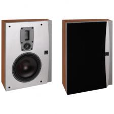 Test Dali Ikon On Wall