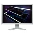 Test Eizo Flexscan S2431W