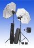 Bild Elinchrom D-Lite RX 2/4 Set