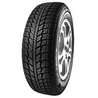 Test Federal Himalaya WS-1 (185/60 R14T)