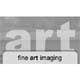fine art imaging - 