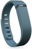 Fitbit Flex - 