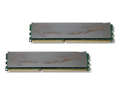 G.Skill Eco F3-12800CL7D-4GBECO Test - 0