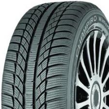 Test GT Radial Champiro WinterPro (195/65 R15T)