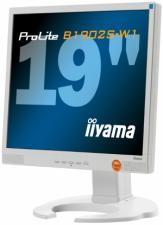 Test Iiyama ProLite B1902S-1