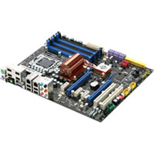 MSI X58 Platinum im Test Test MSI X58 Platinum