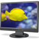 NEC AccuSync LCD19WMGX - 