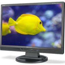 Test Monitore bis 20 Zoll - NEC AccuSync LCD19WMGX 