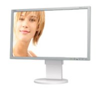NEC MultiSync EA231WMi Test - 2
