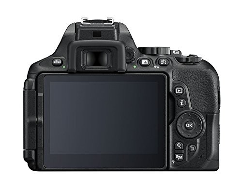 Nikon D5600 Test - 0