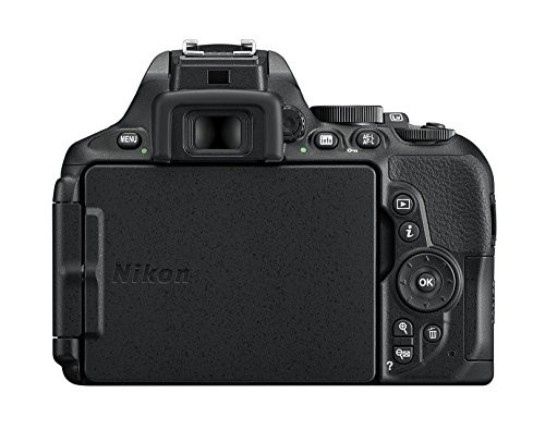 Nikon D5600 Test - 1