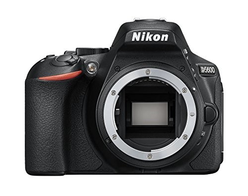 Nikon D5600 Test - 3