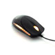 Bild Razer Krait