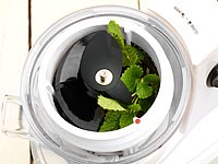 Rosenstein & Söhne Slow Juicer NC-3587-919 Test - 1