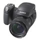 Sony Cyber-Shot DSC-R1 - 