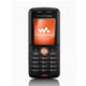 Bild Sony Ericsson W200i