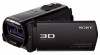 Sony HDR-TD30 - 