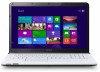 Bild Sony Vaio SVE1713F1EW