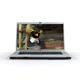 Bild Sony Vaio VGN-FW11E