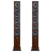 Test System Audio aura 60