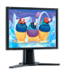 Bild ViewSonic VP231wb