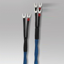 Test Wireworld Oasis 6