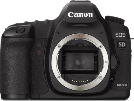 Canon EOS 5D Mark II Sensor