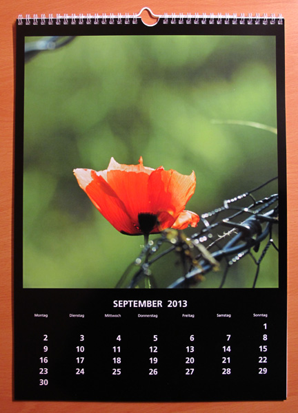 Fotokalender PosterXXL