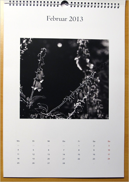 Fotokalender Pixelnet