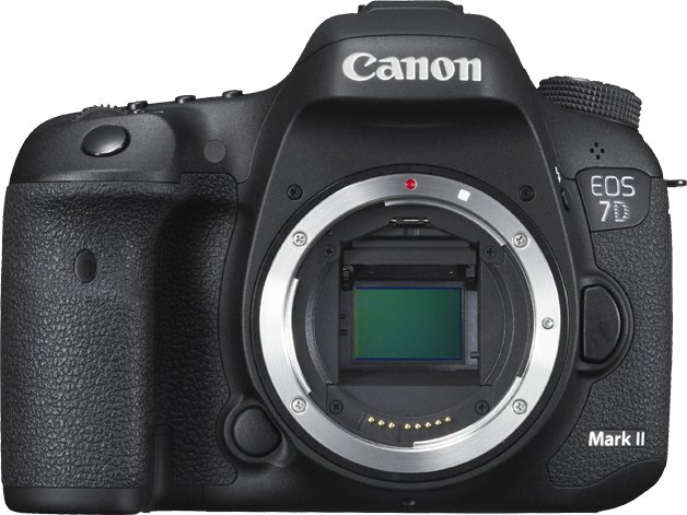 Canon EOS 7D Mark II Sensor