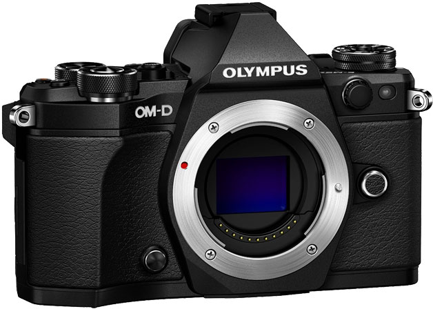 Olympus OM-D E-M5 Sensor